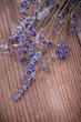 Bunch of lavender flowers