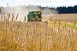 Harvest time. Harvester operates in the rye field