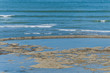 Foto: île de ré île de ré