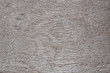 Texture of wood