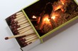 Allumer le Feu ! Cuisson au Feu de Bois
