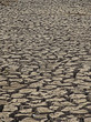 Arid, Parched, cracked land in a village. Maharashtra, India