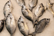 fish market