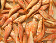 fish market