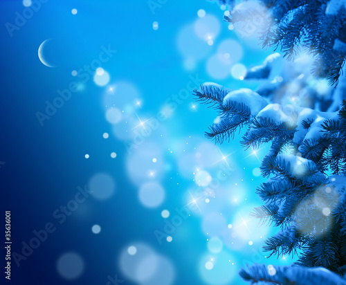 Photo: Christmas tree on blue night sky background Christmas tree on blue night sky background