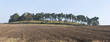 Harrowed Field