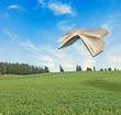 Flying book