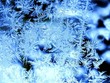 Eisblumen