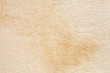 Sandsteinfliese