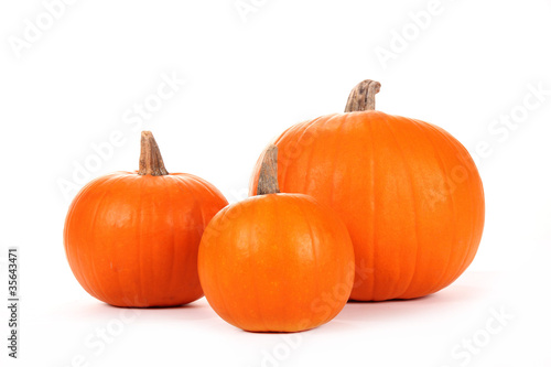Photo: Pumpkins on white background Pumpkins on white background