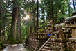 Okunoin Cemetery