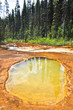 Paint Pots in Kootenay National Park, Canada Paint Pots in Kootenay National Park, Canada