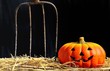 Miedo en Halloween.