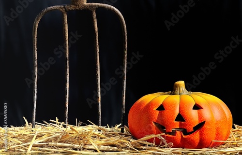 Foto: Miedo en Halloween. Miedo en Halloween.