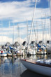 a photo of a group of sailboats