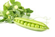 Pea pods