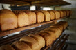 Bakery, bread.