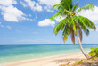 tropical beach with coconut palm. Koh Lanta, Thailand