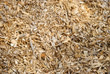 Vorratsbunker mit Holz Hackschnitzel