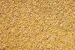 cereal wheat grain texture pattern cereal wheat grain texture pattern