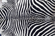 Photo: Zebra leather skin texture painted Zebra leather skin texture painted