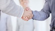 Confident male executives shaking hands