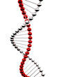 DNA