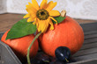 Herbst