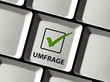 Online Umfrage