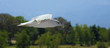 flying seagull