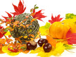 Herbst - Laub und Früchte
