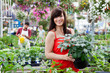 Beautiful female customer holding potted plant Beautiful female customer holding potted plant
