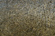 Photo: bales of straw bales of straw