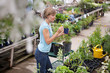 Woman holding potted plant Woman holding potted plant