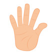 stop hand