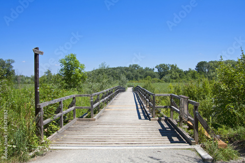 Photo: Naturschutzgebiet Lobau Naturschutzgebiet Lobau