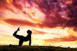 Yoga silhouette parshva marjariasana cat pose