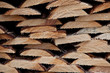 pile of rough wood pile of rough wood