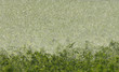 raining on the field raining on the field