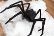 Halloween spider