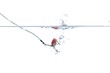 Photo: little wobbler for fishing little wobbler for fishing