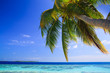 Tropical Paradise at Maldives