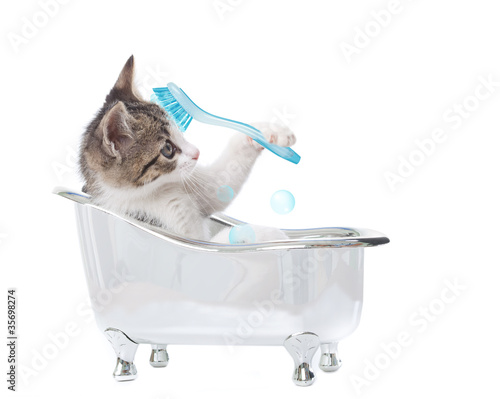Photo: Fare il bagno Fare il bagno