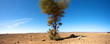 Sahara desert and the car