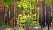 Beautiful autumn forest landscape