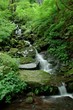 Photo: 滝 滝