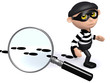 3d Burglar is being tracked!