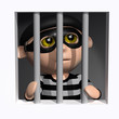 3d Burglar is behind bars.