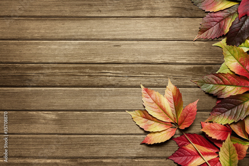 Photo: Autumn leaves over wooden background with copy space Autumn leaves over wooden background with copy space