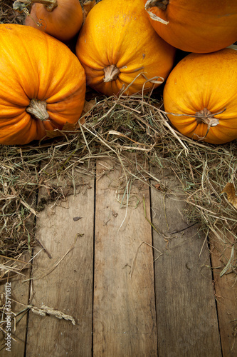 art orange pumpkins on wooden background
